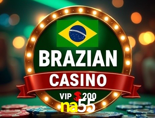 na55 visual 2